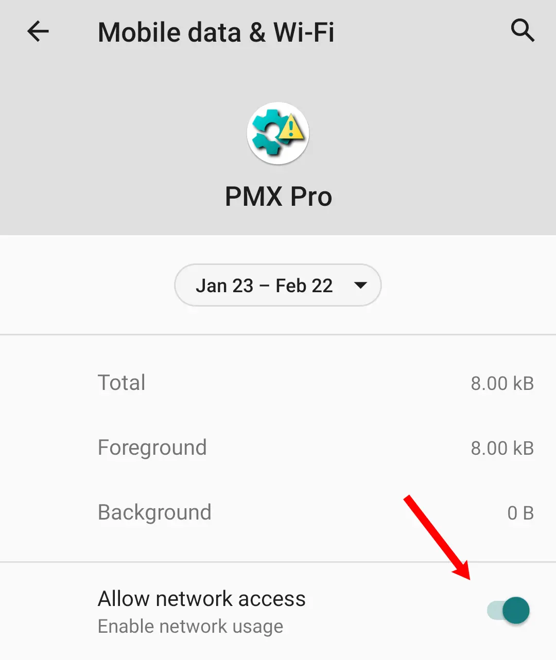 Allow network access setting